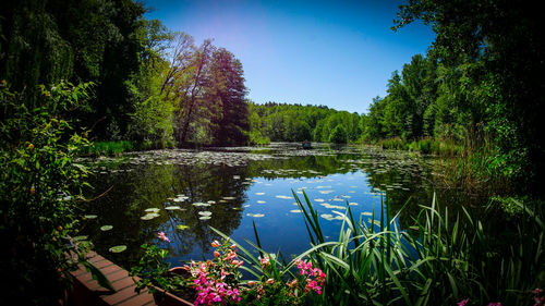 Scenic view of lake against blue sky