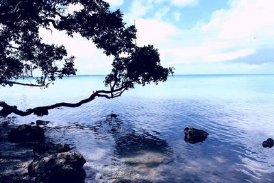 Scenic view of sea against sky