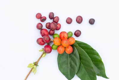 High angle view of cherries against white background