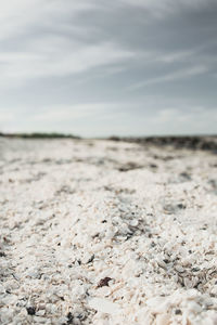 Surface level of beach against sky