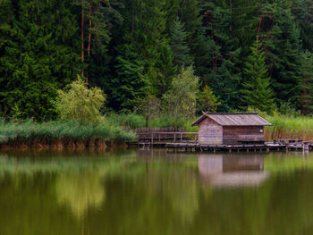 Scenic view of lake in forest