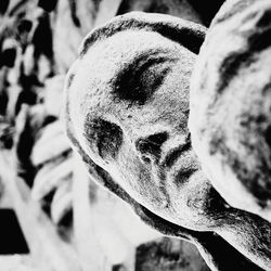 Close-up of human face
