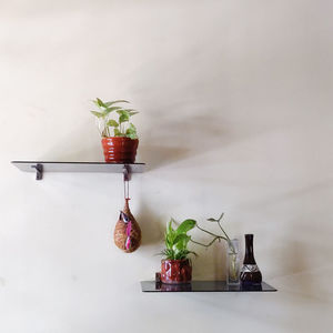 Close-up of indoor plants on table