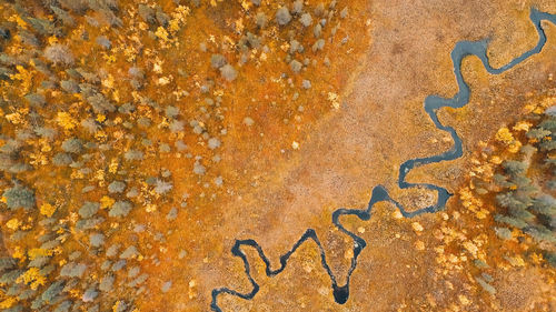 High angle view of footprints on rock