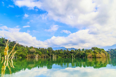 Scenic view of lake by trees against sky