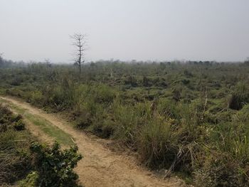 Scenic view of landscape against clear sky