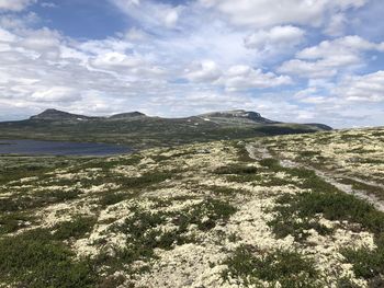 Scenic view of landscape against sky