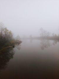 Scenic view of lake in forest during foggy weather