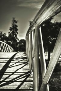 Close-up of palm trees against built structure