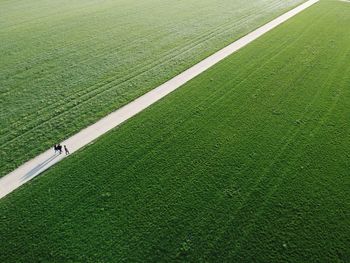 High angle view of field and a straight way with 3 people