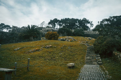 View of trees on landscape against sky