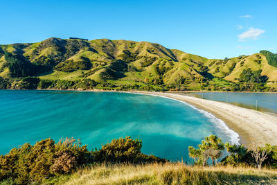 Scenic view of lake by trees against blue sky