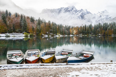 Boats moored on lake against trees