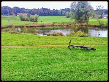 Scenic view of grassy field