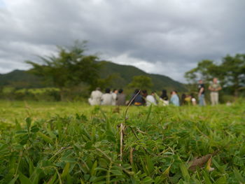 Scenic view of grassy field against cloudy sky