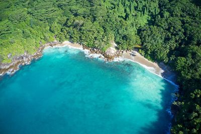 Aerial view of sea