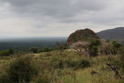 Scenic view of land against sky