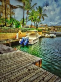 Palm trees by the sea