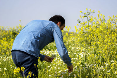 Rear view of man picking flowers
