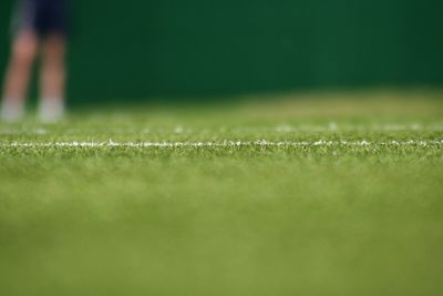 Grassy field in court