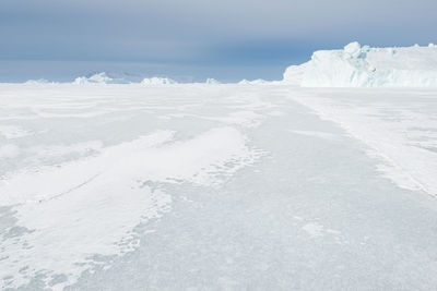 Ice bergs on frozen sea, greenland.