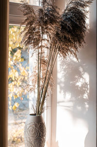 Close-up of snow covered plants seen through window