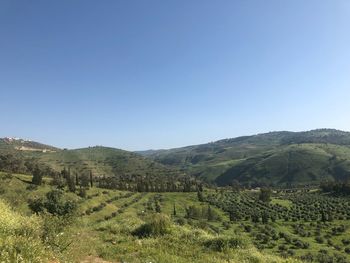 Scenic view of field against clear blue sky