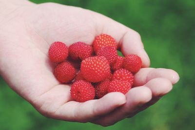 Close-up of hand holding strawberries