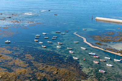 High angle view of sailboats moored in sea