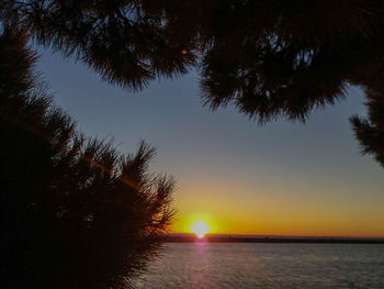 Silhouette trees by sea against sky during sunset