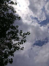Low angle view of tree against cloudy sky