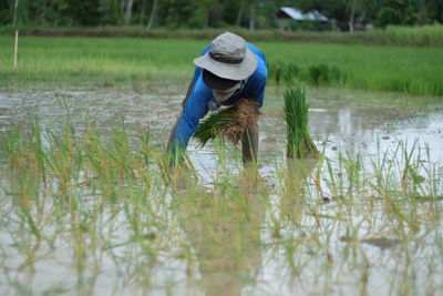 Woman working in farm