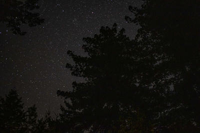 Low angle view of silhouette trees against sky at night
