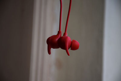 Close-up of red chili peppers hanging against wall