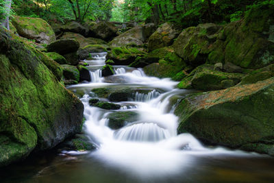 Scenic view of waterfall in forest