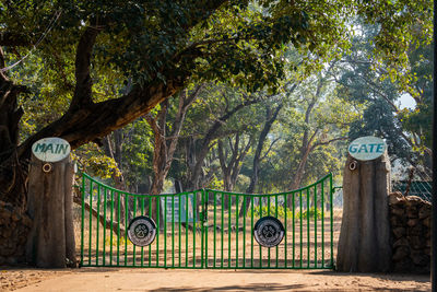 View of road sign against trees