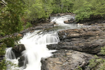 Scenic view of waterfall in forest