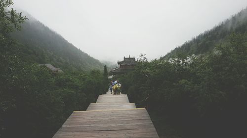 People on boardwalk leading to temple amidst trees