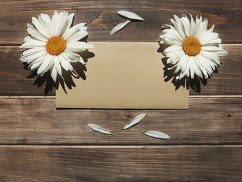 High angle view of flower on table