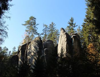 Low angle view of a rock