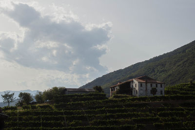 House on field against sky