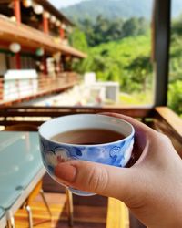 Close-up of hand holding coffee cup