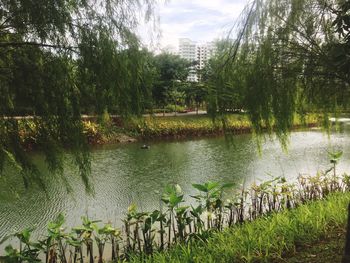 Scenic view of lake against sky