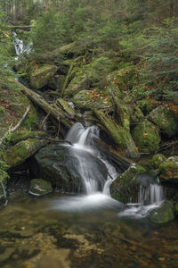 Scenic view of waterfall in forest