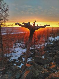 Scenic view of snow covered land against sky during sunset