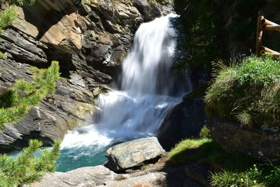 Scenic view of waterfall in forest