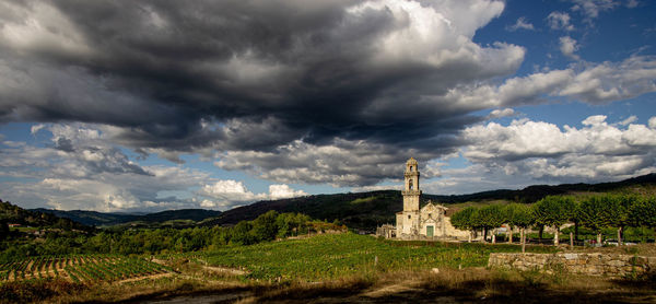 Church in the middle of vineyards