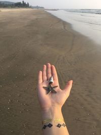 Cropped hand of woman holding starfish and seashell at beach