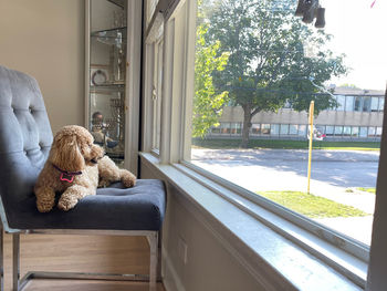 Side view of girl with teddy bear