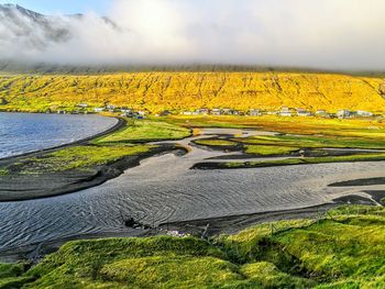 Scenic view of yellow fields against cloudy sky